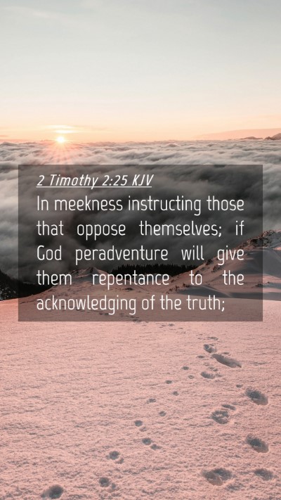 Picture 04 - 2 Timothy 2:25 KJV Mobile Phone Wallpaper - In meekness instructing those that oppose - Mobile Bible Verse Wallpaper