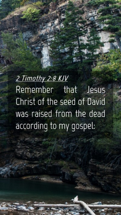 Picture 04 - 2 Timothy 2:8 KJV Mobile Phone Wallpaper - Remember that Jesus Christ of the seed of David - Mobile Bible Verse Wallpaper