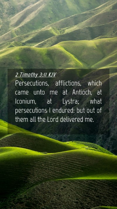 Picture 04 - 2 Timothy 3:11 KJV Mobile Phone Wallpaper - Persecutions, afflictions, which came unto me at - Mobile Bible Verse Wallpaper