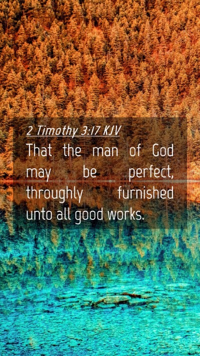 Picture 04 - 2 Timothy 3:17 KJV Mobile Phone Wallpaper - That the man of God may be perfect, throughly - Mobile Bible Verse Wallpaper