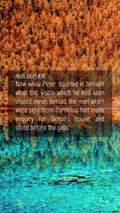 Picture 04 - Acts 10:17 KJV Mobile Phone Wallpaper - Now while Peter doubted in himself what this - Mobile Bible Verse Wallpaper