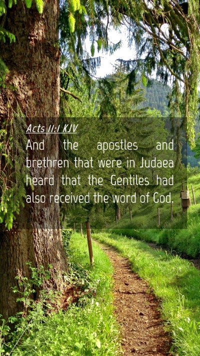 Picture 04 - Acts 11:1 KJV Mobile Phone Wallpaper - And the apostles and brethren that were in Judaea - Mobile Bible Verse Wallpaper