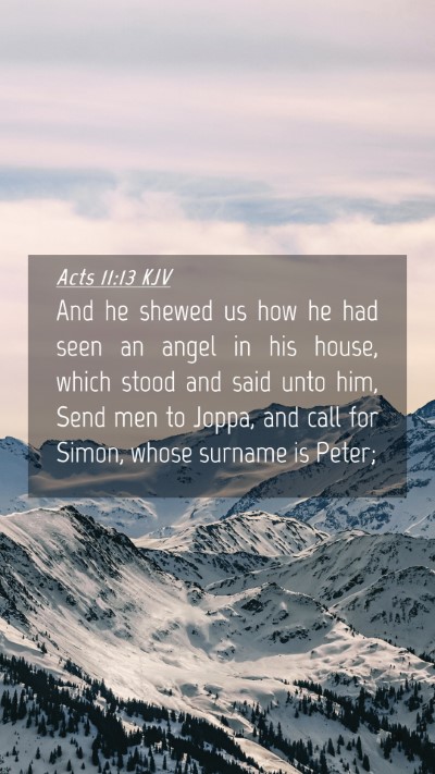 Picture 04 - Acts 11:13 KJV Mobile Phone Wallpaper - And he shewed us how he had seen an angel in his - Mobile Bible Verse Wallpaper