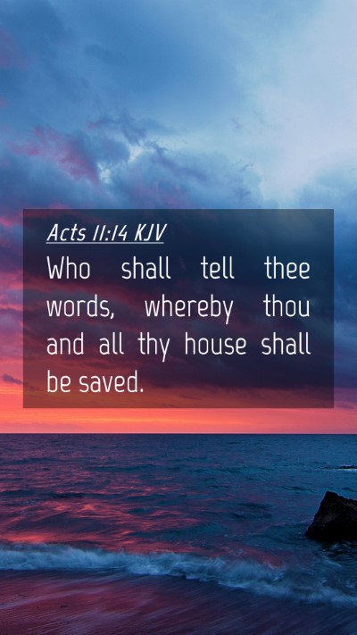 Picture 04 - Acts 11:14 KJV Mobile Phone Wallpaper - Who shall tell thee words, whereby thou and all - Mobile Bible Verse Wallpaper