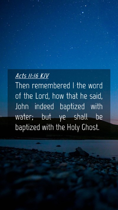 Picture 04 - Acts 11:16 KJV Mobile Phone Wallpaper - Then remembered I the word of the Lord, how that - Mobile Bible Verse Wallpaper
