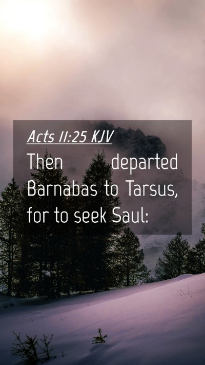 Picture 04 - Acts 11:25 KJV Mobile Phone Wallpaper - Then departed Barnabas to Tarsus, for to seek - Mobile Bible Verse Wallpaper
