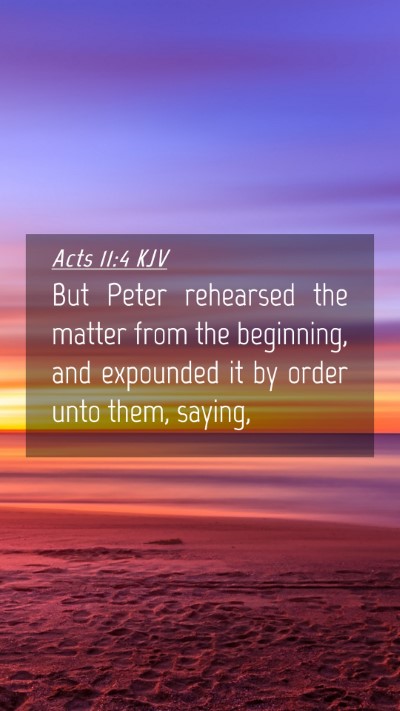 Picture 04 - Acts 11:4 KJV Mobile Phone Wallpaper - But Peter rehearsed the matter from the - Mobile Bible Verse Wallpaper