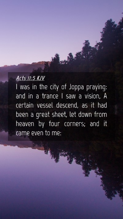 Picture 04 - Acts 11:5 KJV Mobile Phone Wallpaper - I was in the city of Joppa praying: and in a - Mobile Bible Verse Wallpaper
