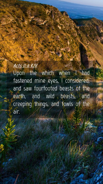 Picture 04 - Acts 11:6 KJV Mobile Phone Wallpaper - Upon the which when I had fastened mine eyes, I - Mobile Bible Verse Wallpaper
