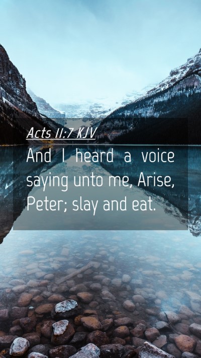 Picture 04 - Acts 11:7 KJV Mobile Phone Wallpaper - And I heard a voice saying unto me, Arise, Peter; - Mobile Bible Verse Wallpaper