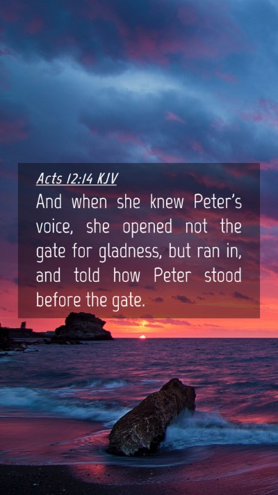 Picture 04 - Acts 12:14 KJV Mobile Phone Wallpaper - And when she knew Peter's voice, she opened not - Mobile Bible Verse Wallpaper
