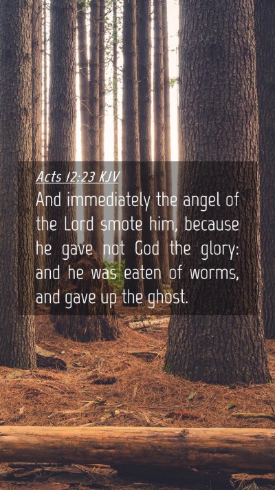 Picture 04 - Acts 12:23 KJV Mobile Phone Wallpaper - And immediately the angel of the Lord smote him, - Mobile Bible Verse Wallpaper
