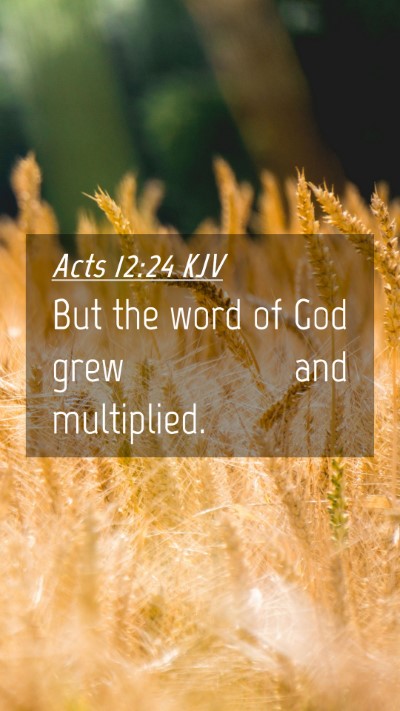 Picture 04 - Acts 12:24 KJV Mobile Phone Wallpaper - But the word of God grew and - Mobile Bible Verse Wallpaper