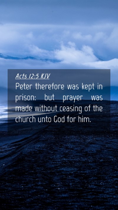 Picture 04 - Acts 12:5 KJV Mobile Phone Wallpaper - Peter therefore was kept in prison: but prayer - Mobile Bible Verse Wallpaper