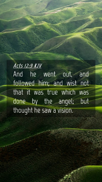 Picture 04 - Acts 12:9 KJV Mobile Phone Wallpaper - And he went out, and followed him; and wist not - Mobile Bible Verse Wallpaper