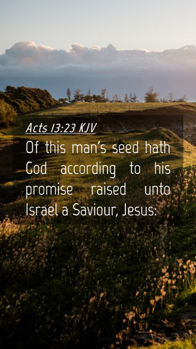 Picture 04 - Acts 13:23 KJV Mobile Phone Wallpaper - Of this man's seed hath God according to his - Mobile Bible Verse Wallpaper