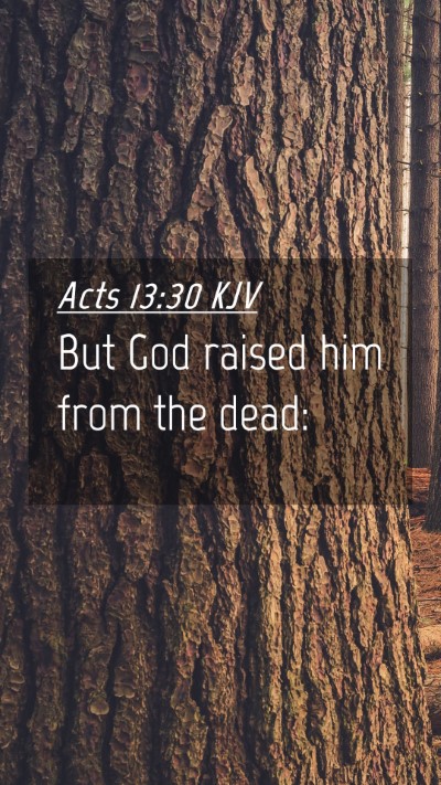 Picture 04 - Acts 13:30 KJV Mobile Phone Wallpaper - But God raised him from the - Mobile Bible Verse Wallpaper