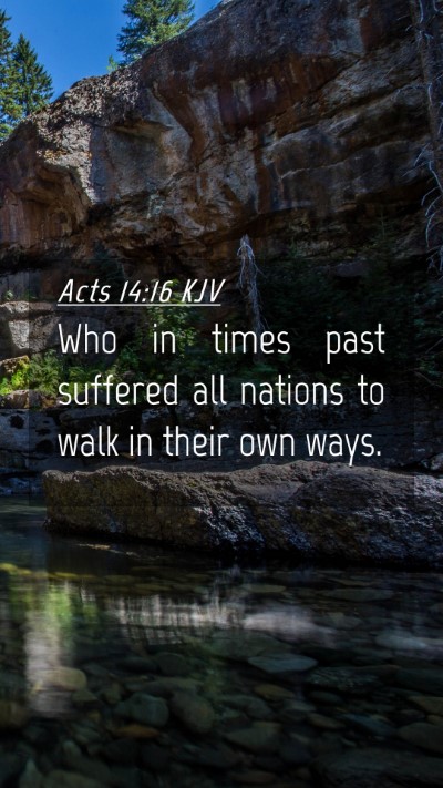 Picture 04 - Acts 14:16 KJV Mobile Phone Wallpaper - Who in times past suffered all nations to walk in - Mobile Bible Verse Wallpaper