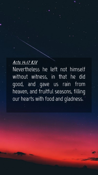 Picture 04 - Acts 14:17 KJV Mobile Phone Wallpaper - Nevertheless he left not himself without witness, - Mobile Bible Verse Wallpaper
