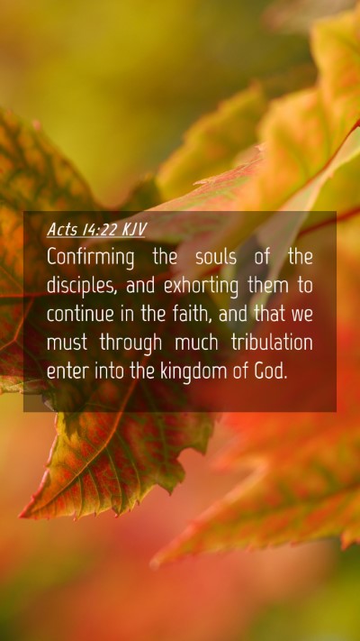 Picture 04 - Acts 14:22 KJV Mobile Phone Wallpaper - Confirming the souls of the disciples, and - Mobile Bible Verse Wallpaper