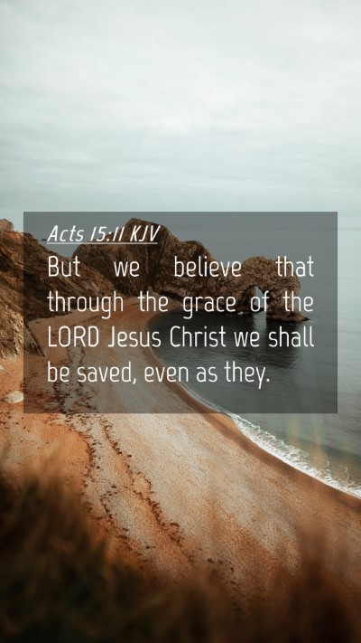Picture 04 - Acts 15:11 KJV Mobile Phone Wallpaper - But we believe that through the grace of the LORD - Mobile Bible Verse Wallpaper