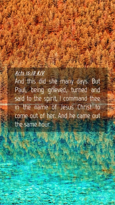 Picture 04 - Acts 16:18 KJV Mobile Phone Wallpaper - And this did she many days. But Paul, being - Mobile Bible Verse Wallpaper