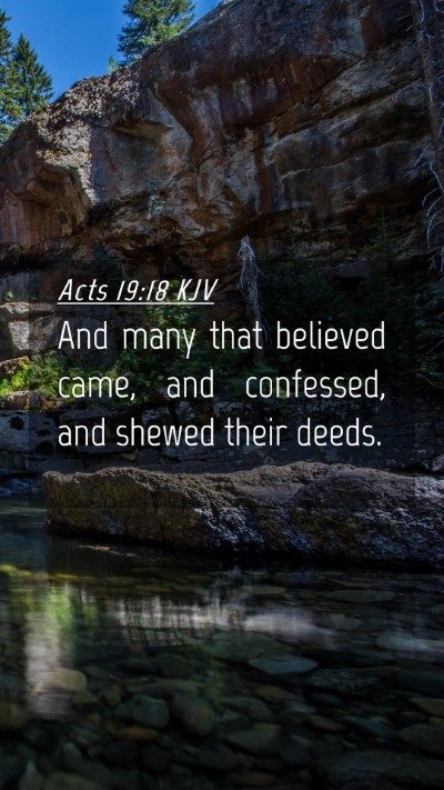 Picture 04 - Acts 19:18 KJV Mobile Phone Wallpaper - And many that believed came, and confessed, and - Mobile Bible Verse Wallpaper