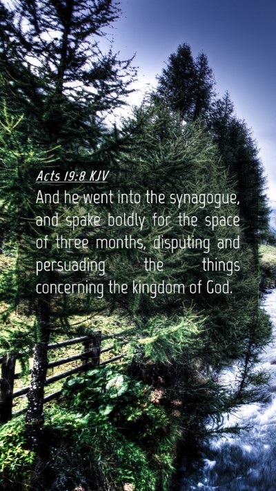 Picture 04 - Acts 19:8 KJV Mobile Phone Wallpaper - And he went into the synagogue, and spake boldly - Mobile Bible Verse Wallpaper