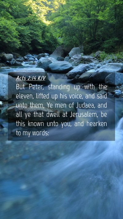 Picture 04 - Acts 2:14 KJV Mobile Phone Wallpaper - But Peter, standing up with the eleven, lifted up - Mobile Bible Verse Wallpaper