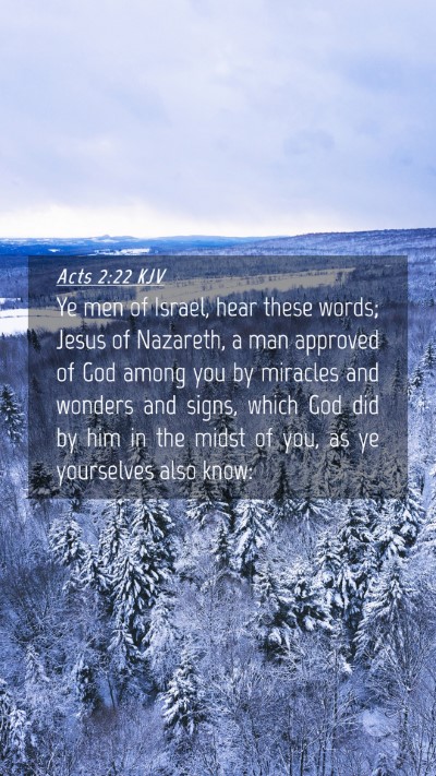 Picture 04 - Acts 2:22 KJV Mobile Phone Wallpaper - Ye men of Israel, hear these words; Jesus of - Mobile Bible Verse Wallpaper