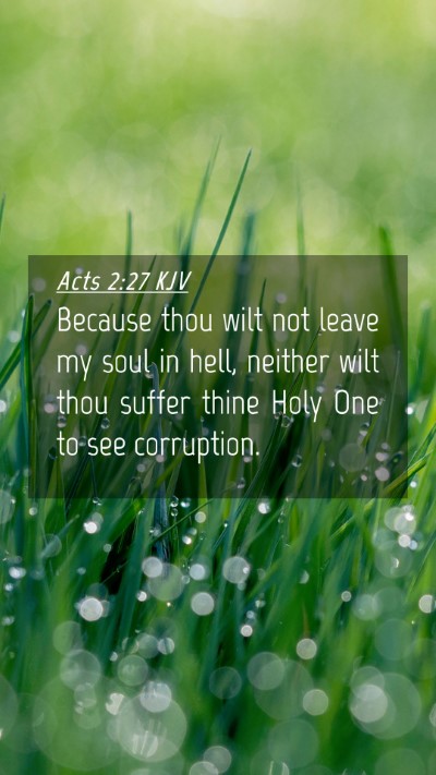 Picture 04 - Acts 2:27 KJV Mobile Phone Wallpaper - Because thou wilt not leave my soul in hell, - Mobile Bible Verse Wallpaper