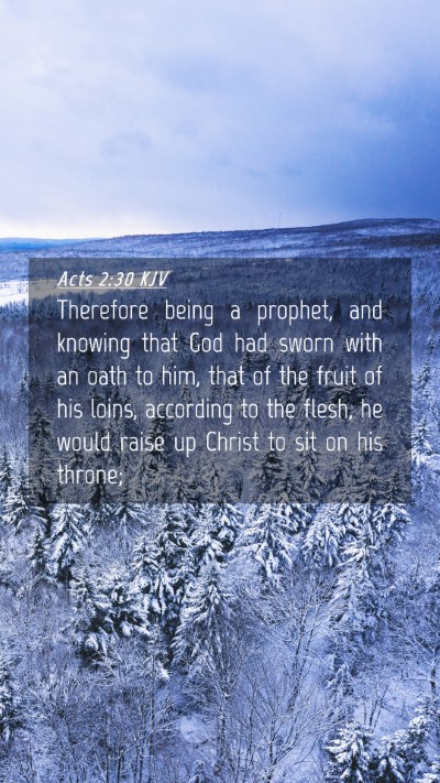 Picture 04 - Acts 2:30 KJV Mobile Phone Wallpaper - Therefore being a prophet, and knowing that God - Mobile Bible Verse Wallpaper