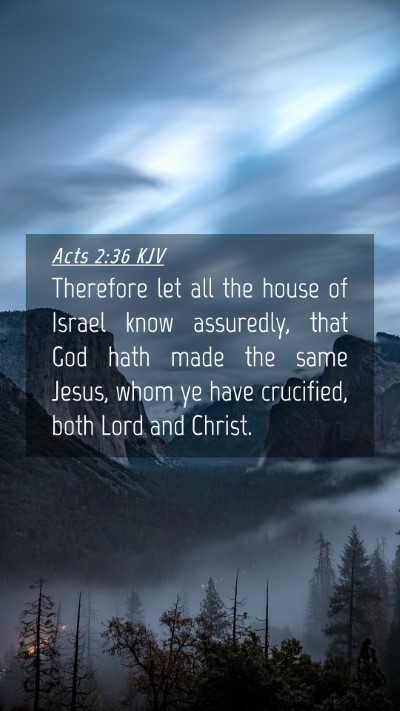 Picture 04 - Acts 2:36 KJV Mobile Phone Wallpaper - Therefore let all the house of Israel know - Mobile Bible Verse Wallpaper