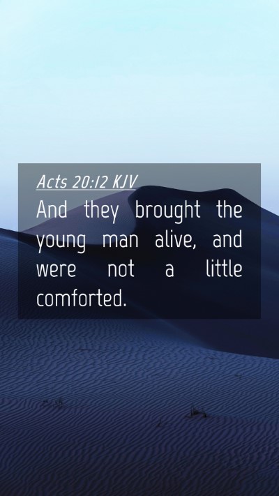 Picture 04 - Acts 20:12 KJV Mobile Phone Wallpaper - And they brought the young man alive, and were - Mobile Bible Verse Wallpaper