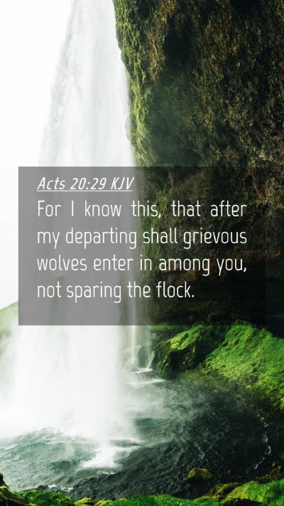Picture 04 - Acts 20:29 KJV Mobile Phone Wallpaper - For I know this, that after my departing shall - Mobile Bible Verse Wallpaper