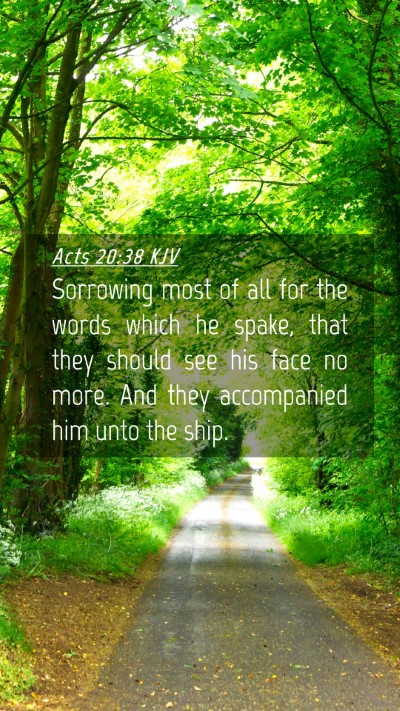 Picture 04 - Acts 20:38 KJV Mobile Phone Wallpaper - Sorrowing most of all for the words which he - Mobile Bible Verse Wallpaper