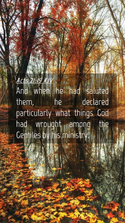 Picture 04 - Acts 21:19 KJV Mobile Phone Wallpaper - And when he had saluted them, he declared - Mobile Bible Verse Wallpaper