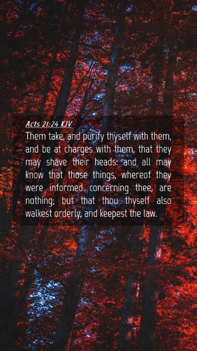 Picture 04 - Acts 21:24 KJV Mobile Phone Wallpaper - Them take, and purify thyself with them, and be - Mobile Bible Verse Wallpaper