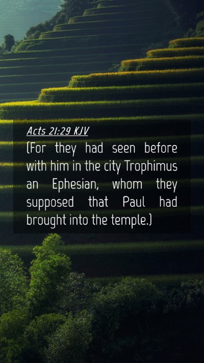 Picture 04 - Acts 21:29 KJV Mobile Phone Wallpaper - (For they had seen before with him in the city - Mobile Bible Verse Wallpaper