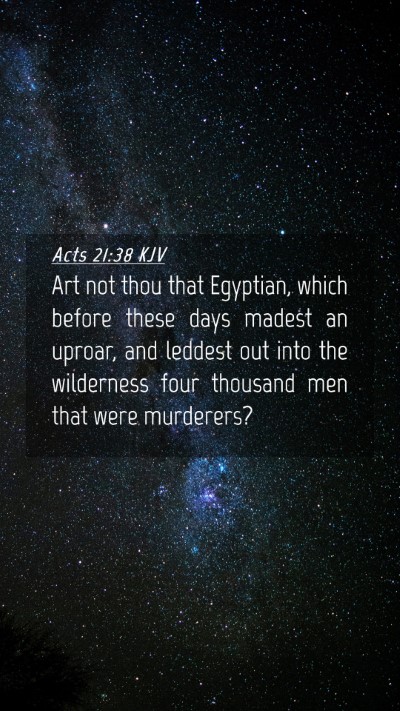 Picture 04 - Acts 21:38 KJV Mobile Phone Wallpaper - Art not thou that Egyptian, which before these - Mobile Bible Verse Wallpaper