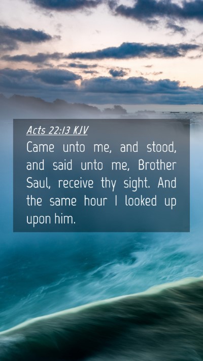 Picture 04 - Acts 22:13 KJV Mobile Phone Wallpaper - Came unto me, and stood, and said unto me, - Mobile Bible Verse Wallpaper