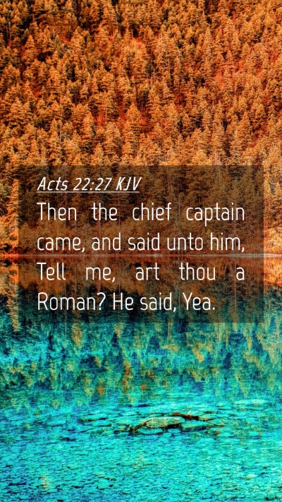 Picture 04 - Acts 22:27 KJV Mobile Phone Wallpaper - Then the chief captain came, and said unto him, - Mobile Bible Verse Wallpaper