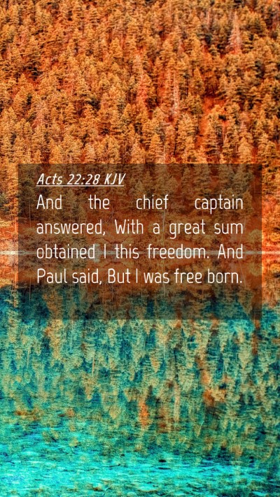 Picture 04 - Acts 22:28 KJV Mobile Phone Wallpaper - And the chief captain answered, With a great sum - Mobile Bible Verse Wallpaper