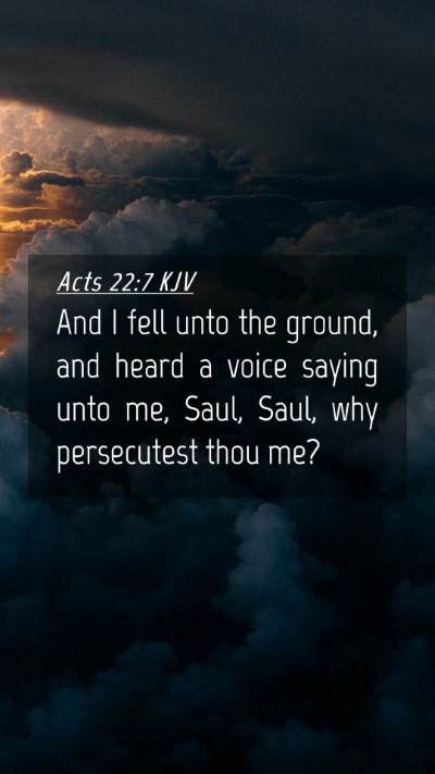 Picture 04 - Acts 22:7 KJV Mobile Phone Wallpaper - And I fell unto the ground, and heard a voice - Mobile Bible Verse Wallpaper