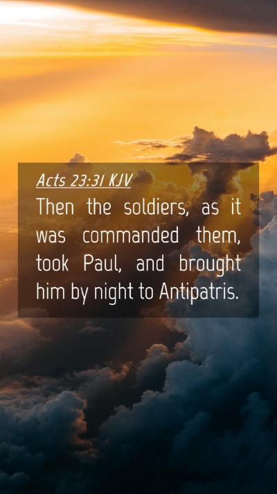 Picture 04 - Acts 23:31 KJV Mobile Phone Wallpaper - Then the soldiers, as it was commanded them, took - Mobile Bible Verse Wallpaper