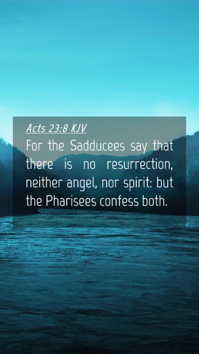 Picture 04 - Acts 23:8 KJV Mobile Phone Wallpaper - For the Sadducees say that there is no - Mobile Bible Verse Wallpaper
