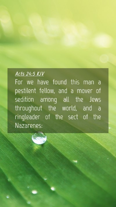 Picture 04 - Acts 24:5 KJV Mobile Phone Wallpaper - For we have found this man a pestilent fellow, - Mobile Bible Verse Wallpaper
