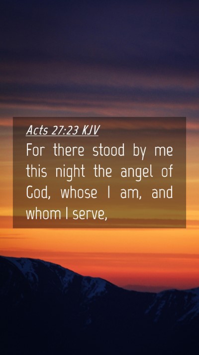 Picture 04 - Acts 27:23 KJV Mobile Phone Wallpaper - For there stood by me this night the angel of - Mobile Bible Verse Wallpaper
