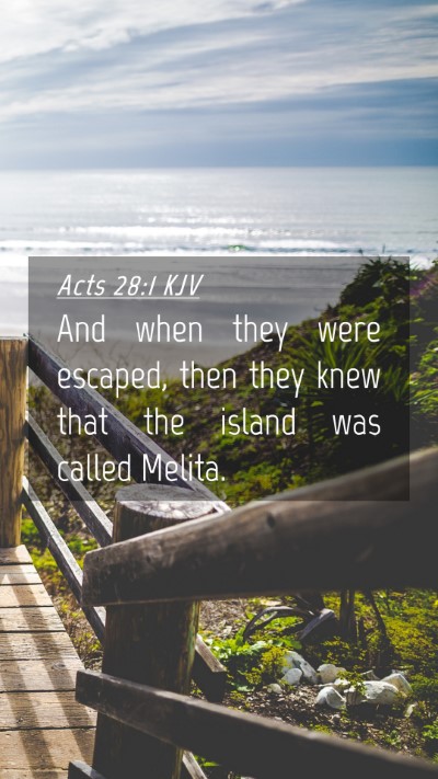 Picture 04 - Acts 28:1 KJV Mobile Phone Wallpaper - And when they were escaped, then they knew that - Mobile Bible Verse Wallpaper