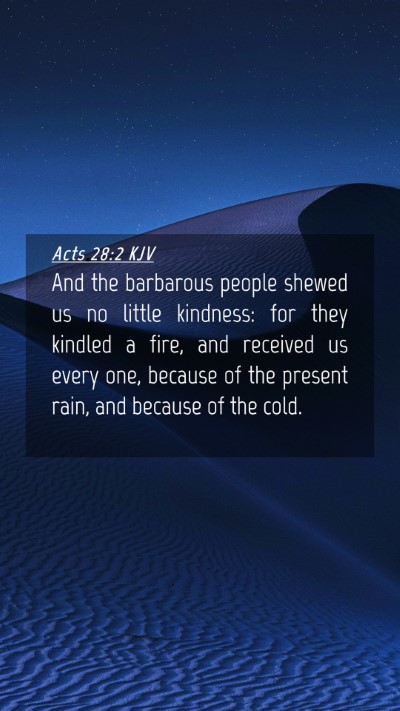 Picture 04 - Acts 28:2 KJV Mobile Phone Wallpaper - And the barbarous people shewed us no little - Mobile Bible Verse Wallpaper
